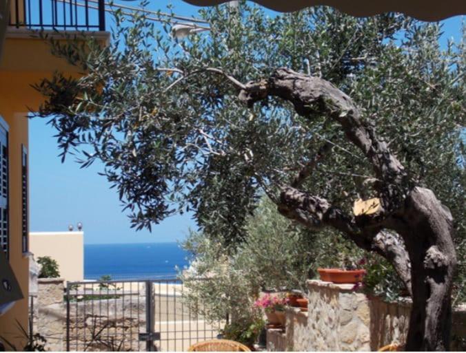 Modus B&B San Vito Lo Capo Dış mekan fotoğraf