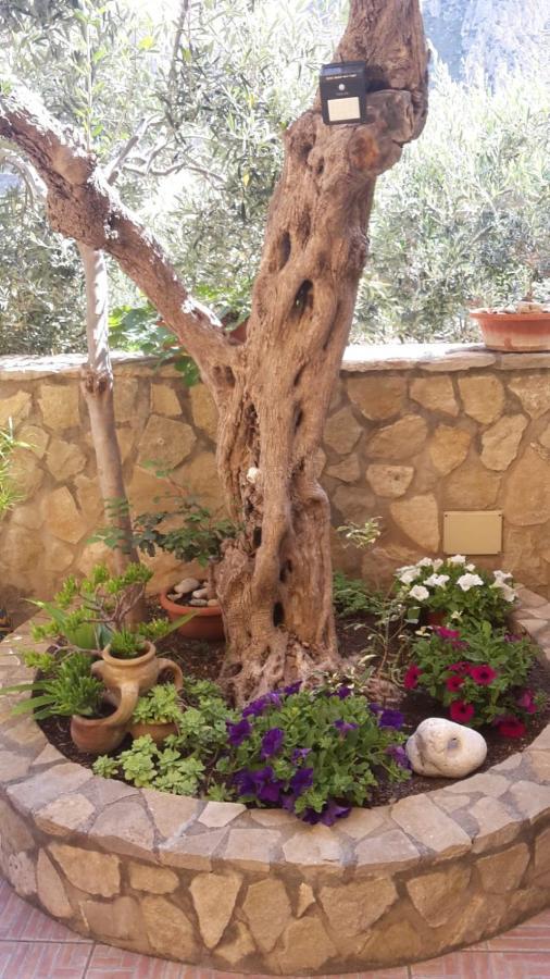 Modus B&B San Vito Lo Capo Dış mekan fotoğraf