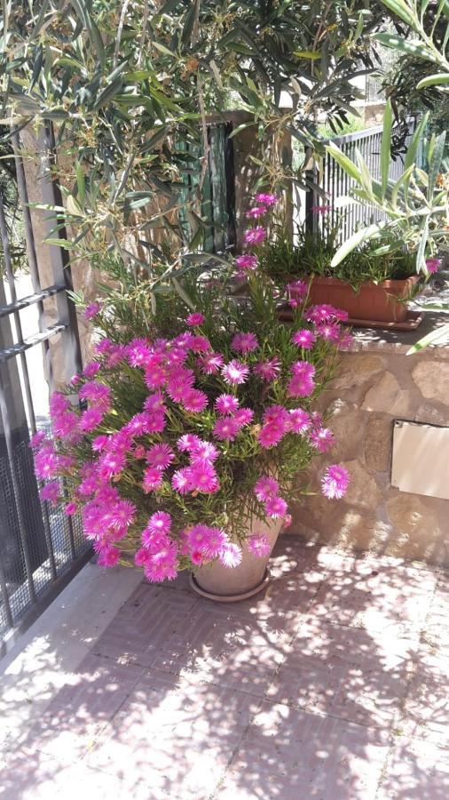 Modus B&B San Vito Lo Capo Dış mekan fotoğraf