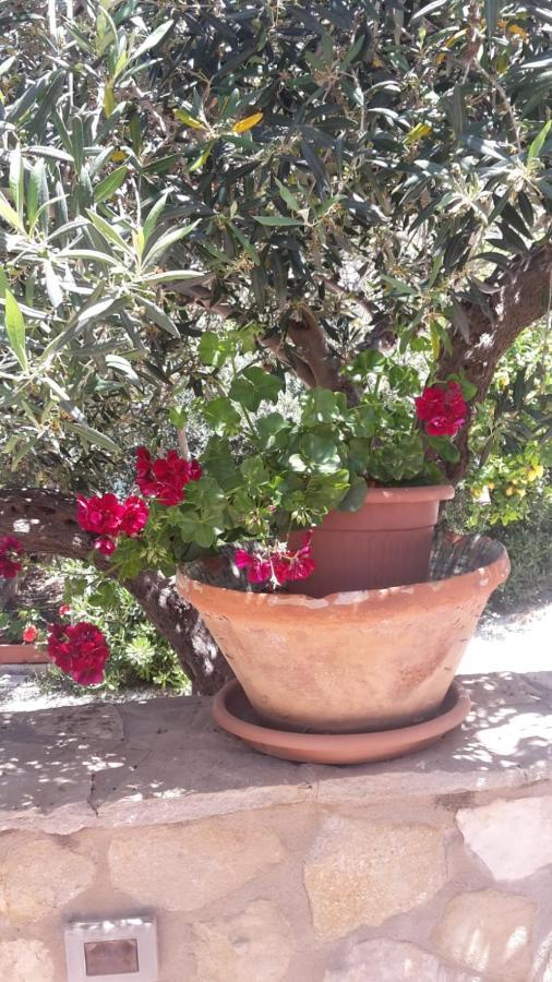 Modus B&B San Vito Lo Capo Dış mekan fotoğraf